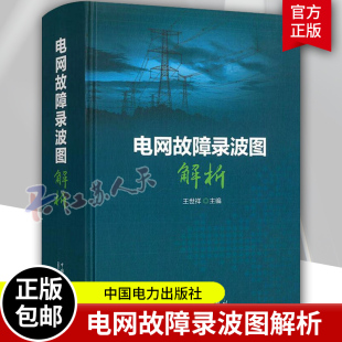 电网故障录波图解析 电网继电保护现场技术识别故障录波图技能书籍 电网故障分析 工作流程和故障波形图识别基本方法