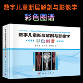 3D图像影像解剖学书籍临床医学读片看片指南 MRI 数字儿童断层解剖与影像学彩色图谱 脑颅面颅脊髓颈胸腔腹部盆部上下肢解剖断面CT