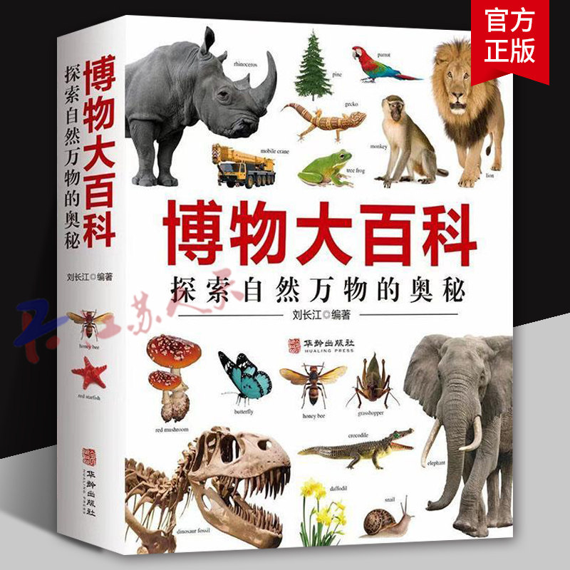 博物大百科 探索自然万物的奥秘 少儿科学书籍6-16岁写给中国少年儿童的博物大百科自然奇观动物世界科普书中文版DK儿童博物大百科