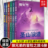 6册 儿童奇幻冒险小说 狼兄弟系列套装 圣山狼迹海岛寻踪冰地遇险湖区蛇影魔穴大战 冒险之旅6 12岁小学生课外阅读书