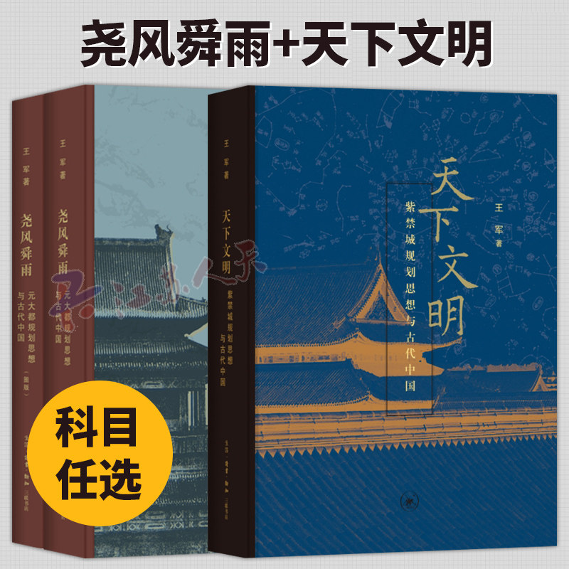 任选】尧风舜雨 元大都规划思想与古代中国 全2册+天下文明 紫禁城规划思想与古代中国 王军 著 北京三联书店