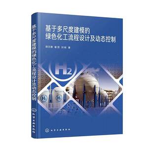 社 化学工业出版 工业技术书籍 绿色化工流程设计及动态控制田文德崔哲刘彬9787122455710 基于多尺度建模