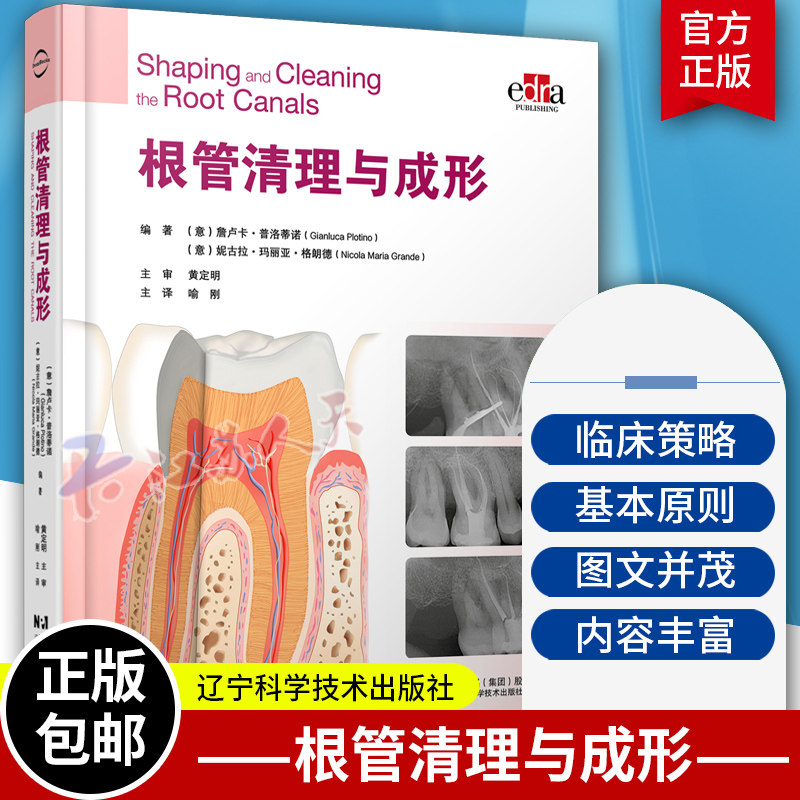 根管清理与成形 喻刚 主译 口腔治疗 牙体牙髓 根管解剖 根管治疗器械 根管治疗 辽宁科学技术出版社9787559134172