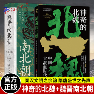 神奇的北魏 中国大混血时代 魏晋南北朝 贵族制社会九品中正 淝水之战六朝史中国古代史 秦汉文明之余韵 隋唐盛世之先声
