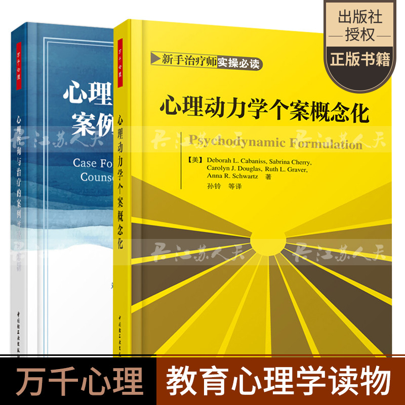 万千-心理咨询与的案例评估和分析+心理动力学个案概念化 精神分析案例解析 心理指南书 心理咨询师工作指导书 心理学书籍