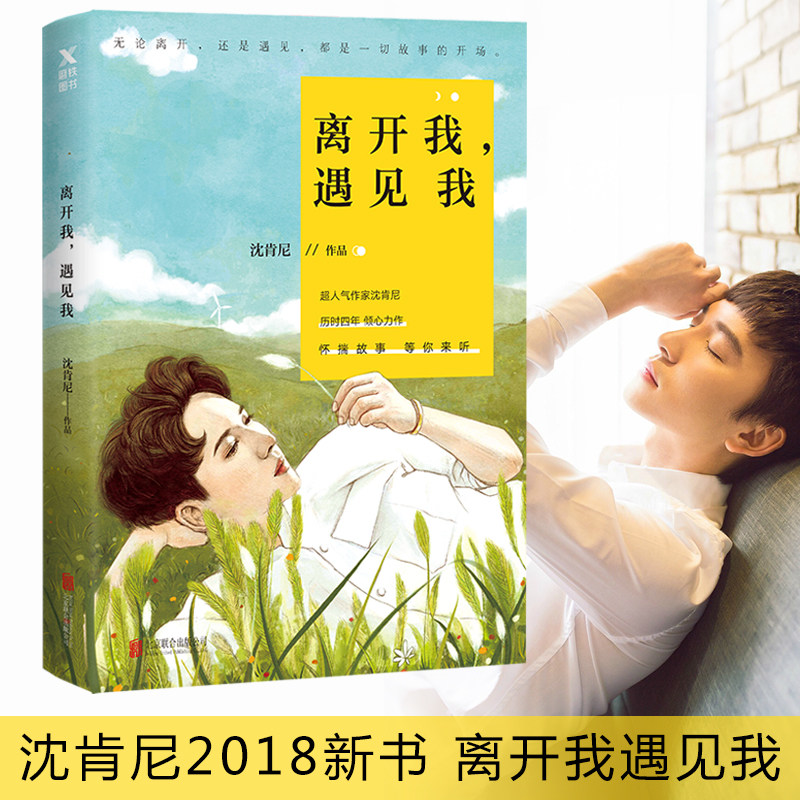 正版包邮 离开我遇见我 沈肯尼的书 沈肯尼的成长日志书 破碎的时光