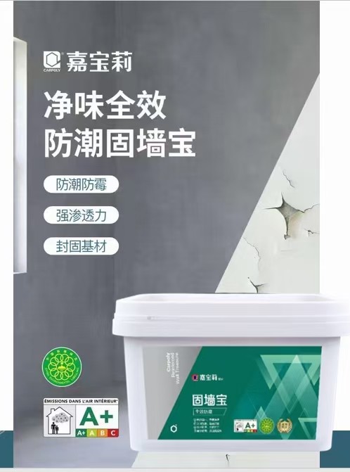 嘉宝莉 防水 全效防潮固墙宝 表面加固 防潮防霉 抗碱 封固基层