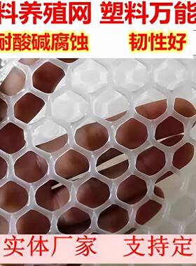 塑料平网养鸡鸭鹅漏家禽育雏脚垫