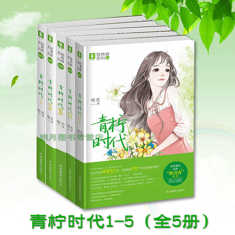 赠品随机 现货 意林青柠时代1-5 全5本 1 2 3 4 5 意林致青春 梅吉小