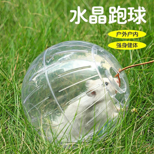 小宠透明外带运动跑球大号滚球玩