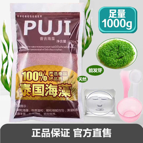 泰国PUJI粒粒出胶小颗粒海藻面膜