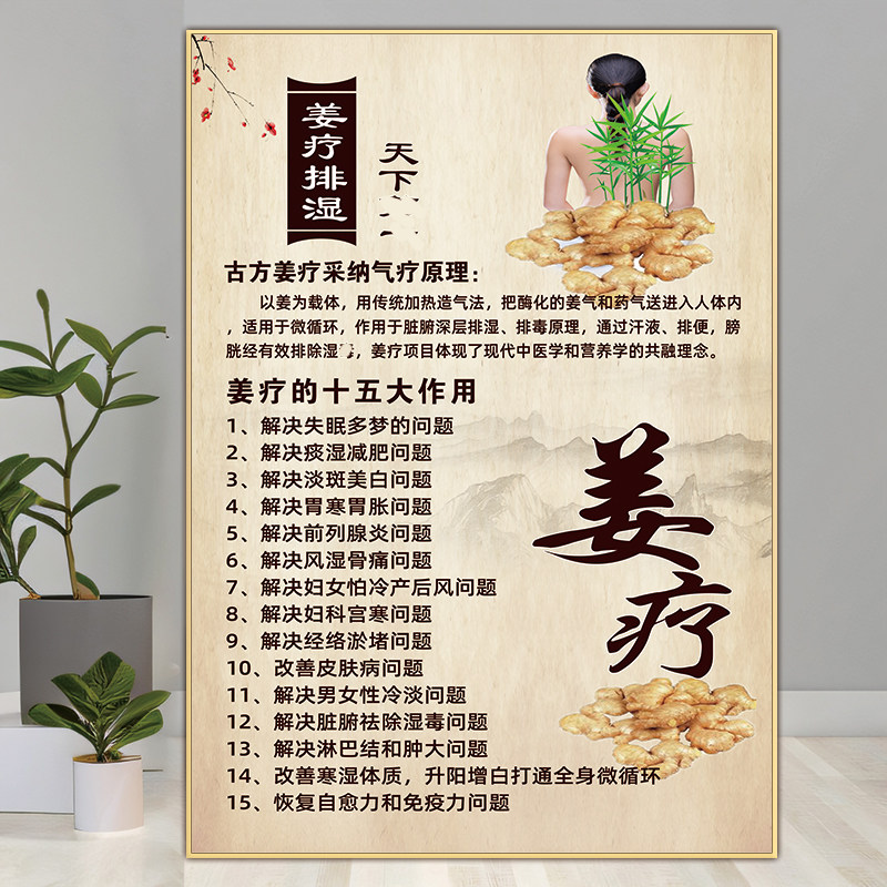 姜疗海报中药洗头挂画头疗图片宣传画养发馆装饰画生姜洗发广告图
