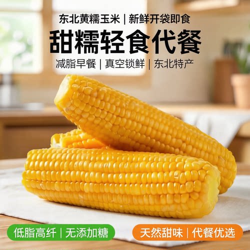东北黄糯玉米长白山鲜食玉米
