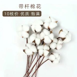 圣诞仿真棉花ins永生花束圣诞装饰木棉花插花仿真拍照拍摄道具