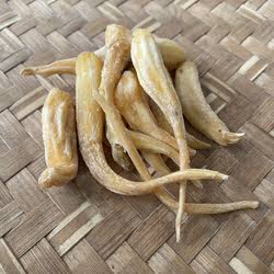 云南中缅边境野生【金玉参】峨参人参………