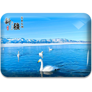 新疆旅游景色冰箱贴塞里木湖喀纳斯禾木魔鬼城火焰山喀什定制磁贴