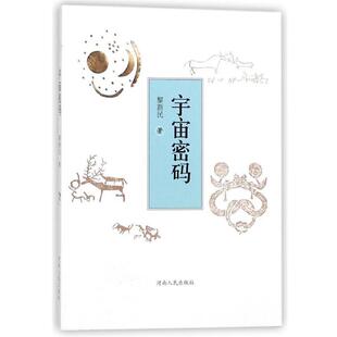 黎新民 宇宙密码 正版