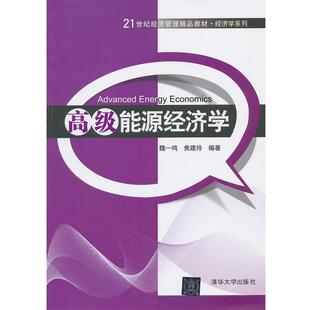 【正版】高级能源经济学 21世纪经济管理精品教材 经济学系列【单本】 魏一鸣、焦建玲