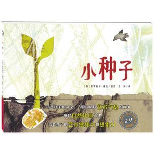 【正版书】 小种子 [荷] 维罗妮卡·鲍克 著,王林 译 天津人民美术出版社