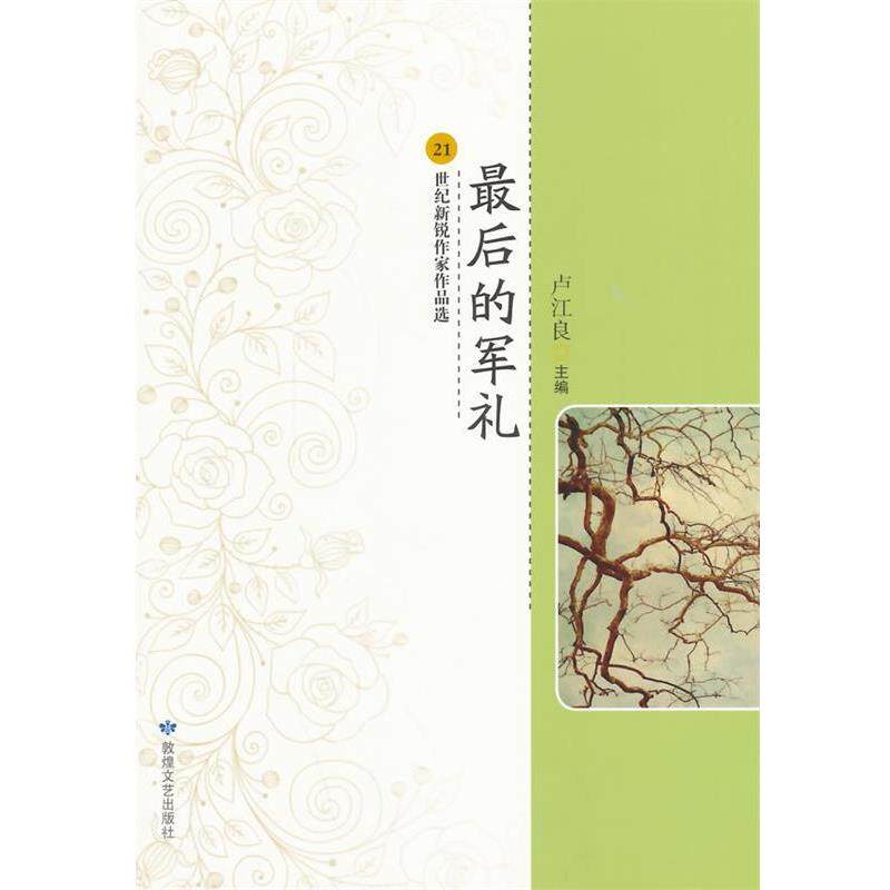 【正版】中小学生阅读系列之21世纪新锐作家作品选 最后的军礼 卢江良