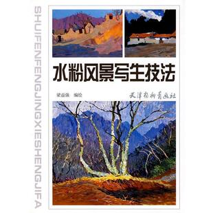 【正版】中国画皴法基础教程 韩石