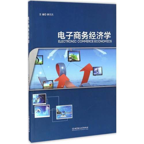 【正版】电子商务经济学 麻元元