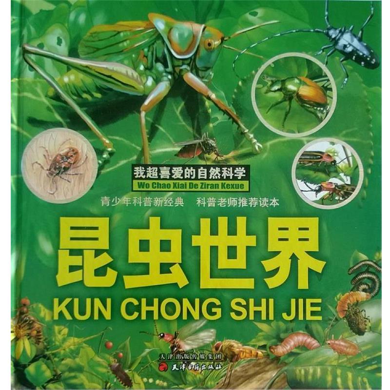 【正版】我超喜爱的自然绘本 昆虫世界 纸上魔方