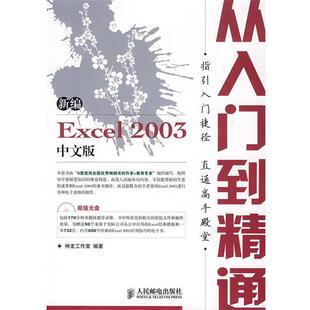 Excel 2003 中文版 双色印刷 新编 从入门到精通 神龙工作室 正版