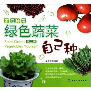 【正版书】 家庭种菜:绿色蔬菜自己种 吴海东 化学工业出版社