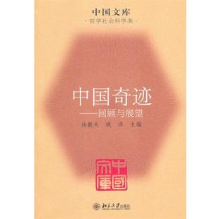 林毅夫 回顾与展望 正版 姚洋 中国奇迹