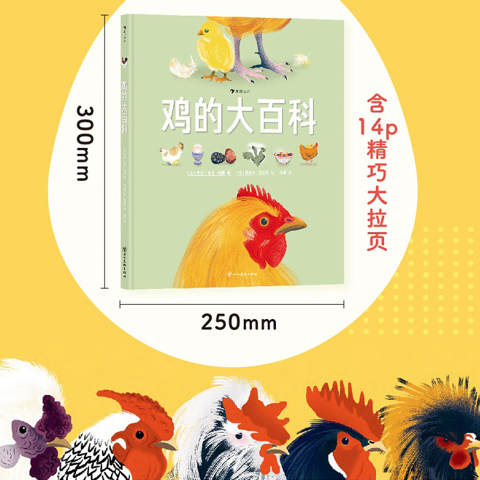 鸡的大百科科普百科绘本