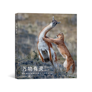 后浪正版现货 万物有灵:国际野生生物摄影年赛第55届获奖作品 环境保护自然动物摄影 摄影艺术书籍
