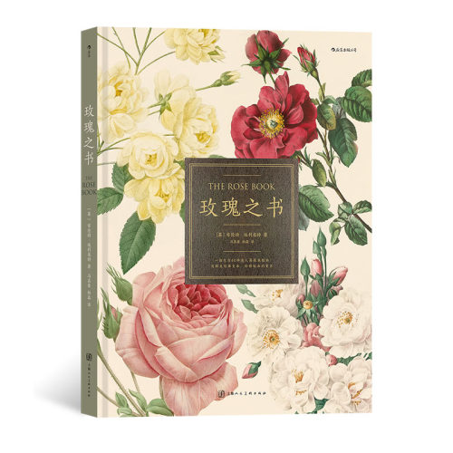 赠明信片玫瑰之书植物科普艺术