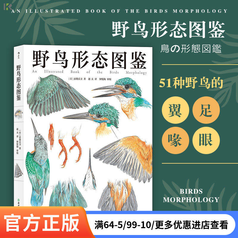 【任选】野鸟形态图鉴 观鸟图鉴鸟类科普博物学 关于野鸟的翼足喙眼 自然观察者用画笔记录下的飞羽邂逅  自然动物科学科普 后浪