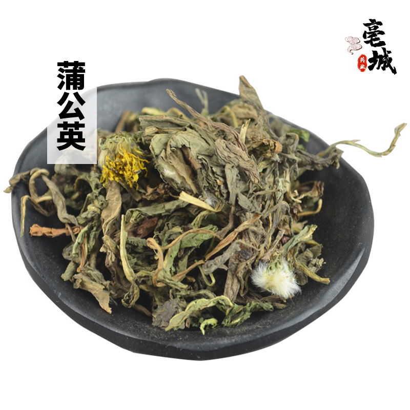 野生蒲公英 中药材 干纯婆婆丁新鲜叶子整颗棵全草天然250g特级株