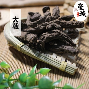 大戟 中药材大全红大戟新货红芽大戟10克免费磨粉包邮芫花白芥子