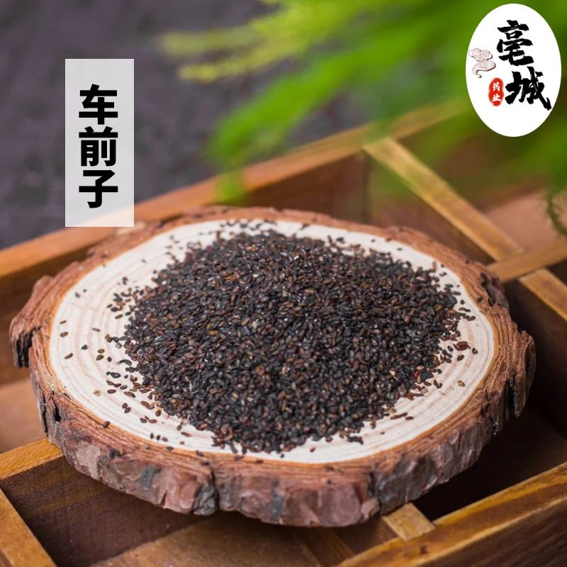 野生车前子50g 车前草籽 车前子茶 车前籽 特级 中药材 车前子粉