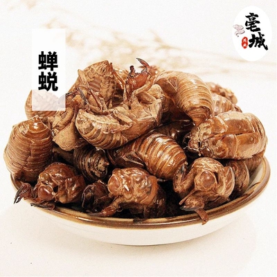 蝉蜕知了皮中药材包邮