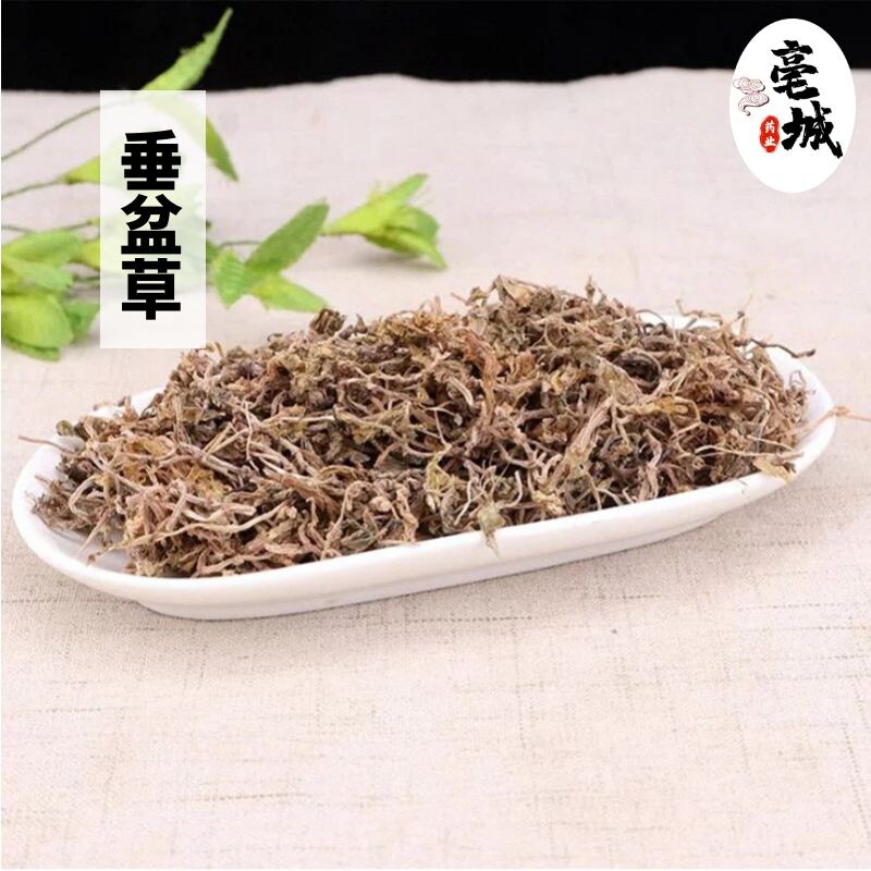 云南野生中药材垂盆草 正宗药用食用垂盆草 干垂盆草茶正品包邮