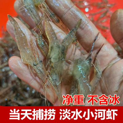 河虾鲜活淡水小青虾速冻