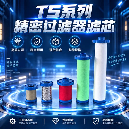 环海TS16公斤压力精密过滤器滤