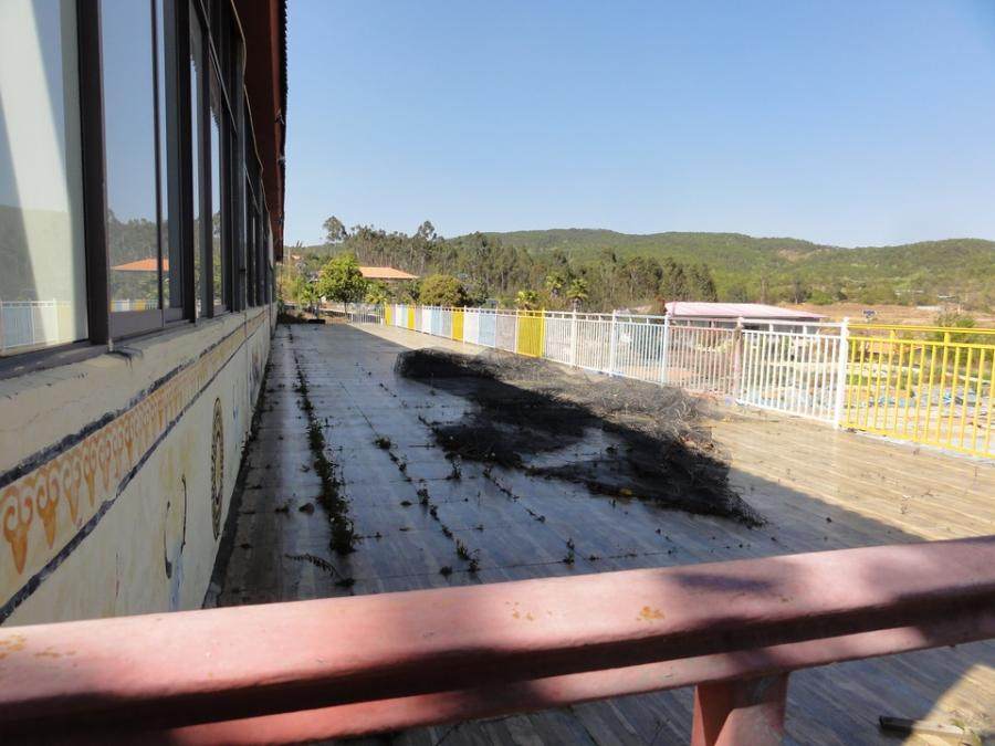 1月8日楚雄一宗林权中的86.58亩林地使用权及地上建筑物、构筑物网络拍卖公告