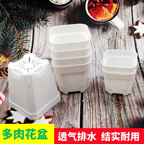 塑料简约有韧性透气排水多肉花盆