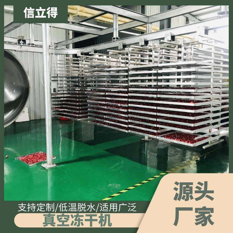 FD冻干果蔬脆片设备厂家大型真空冻干机肉类低温脱水干燥机,清洗/食品/商业设备,其他食品加工设备,淘宝优惠券,粉丝福利购,淘宝优惠卷