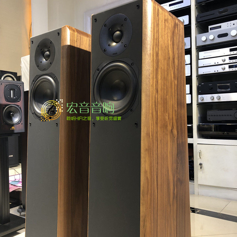 原装意大利chario卓丽落地式音箱