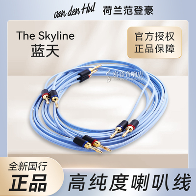 荷兰VDH范登豪蓝天香蕉头喇叭线