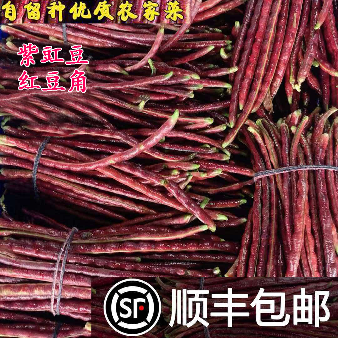 现摘现发苏北自种紫豇豆顺丰包邮