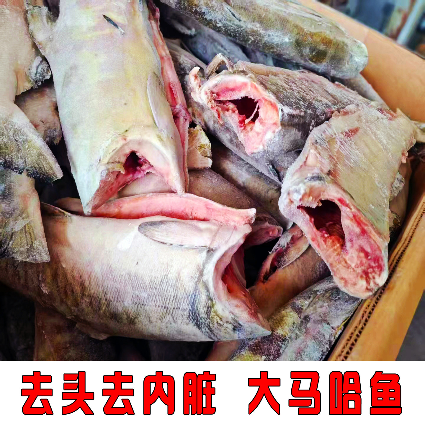 大马哈鱼新鲜冷冻无盐东北黑龙江淡水鱼类