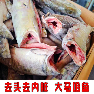 大马哈鱼新鲜冷冻无盐东北黑龙江特产去头去内脏净重红肉大马哈鱼