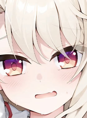 C104 FGOfate 魔法少女伊莉雅 动漫二次元等身抱枕套